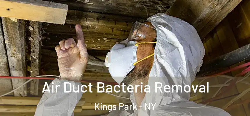  Air Duct Bacteria Removal Kings Park - NY