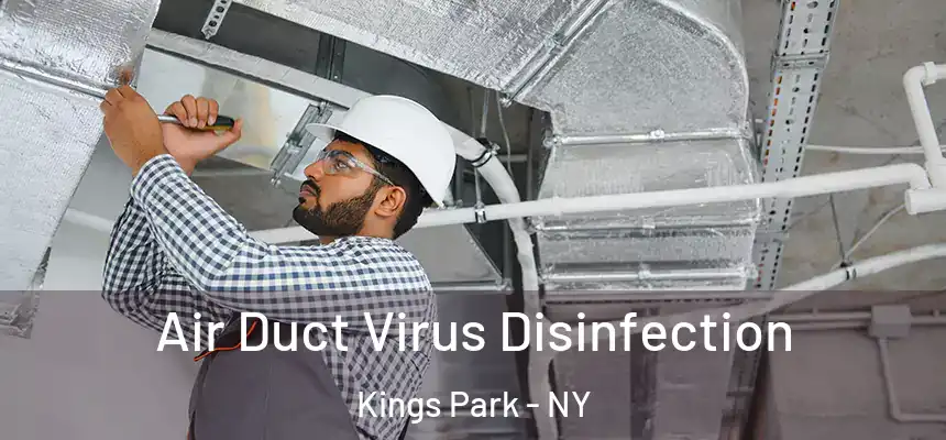  Air Duct Virus Disinfection Kings Park - NY