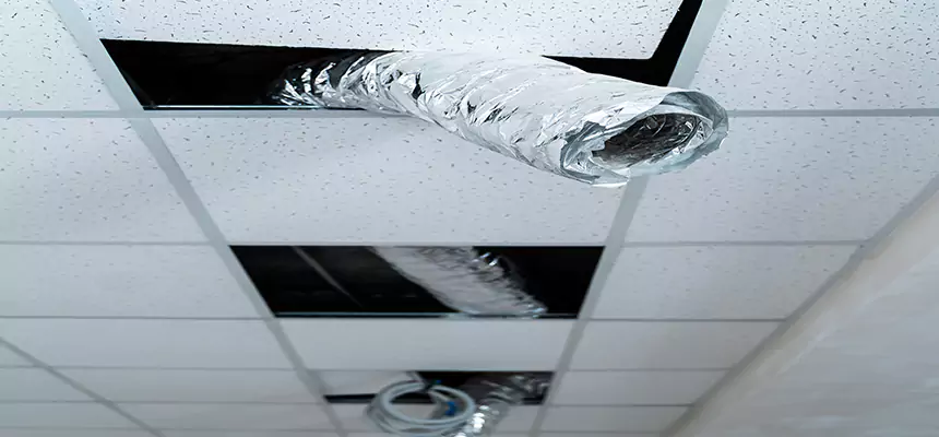 Our Air Duct Pet Hair Removal Services in Kings Park, NY