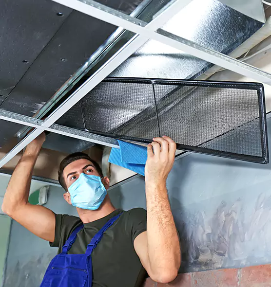 About Air Duct Bacteria Removal in Kings Park