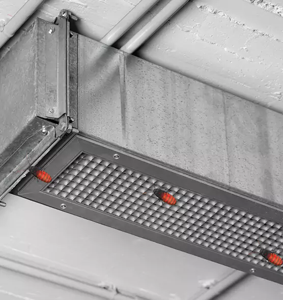 About Air Duct Cockroach Removal in Kings Park, NY