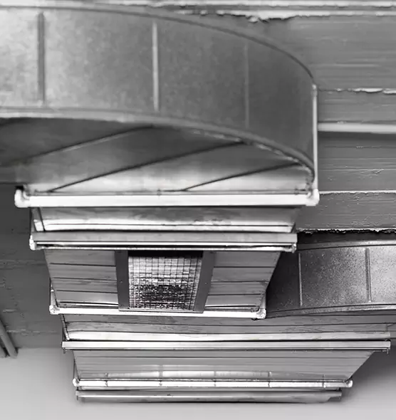 Professional Air Duct Pet Hair Removal in Kings Park, NY