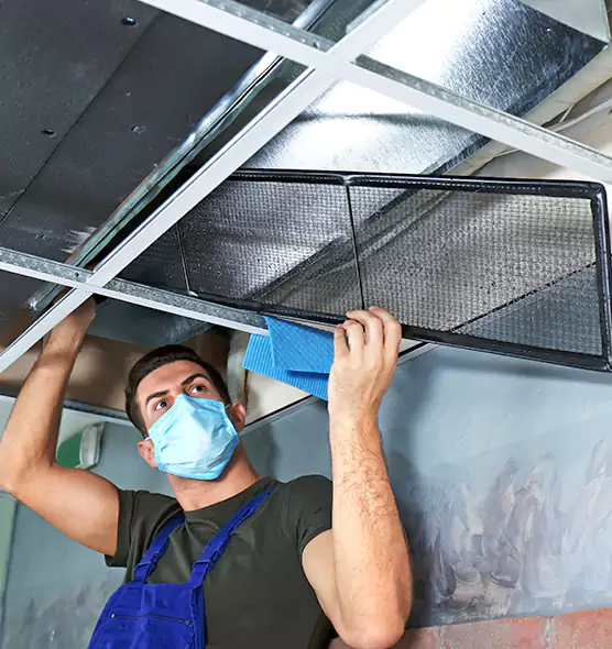 Professional Air Duct Pollen Cleaning in Kings Park, NY
