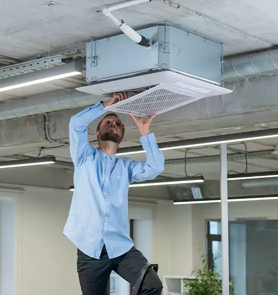 Advanced Rodent Droppings In Vents in Kings Park, NY