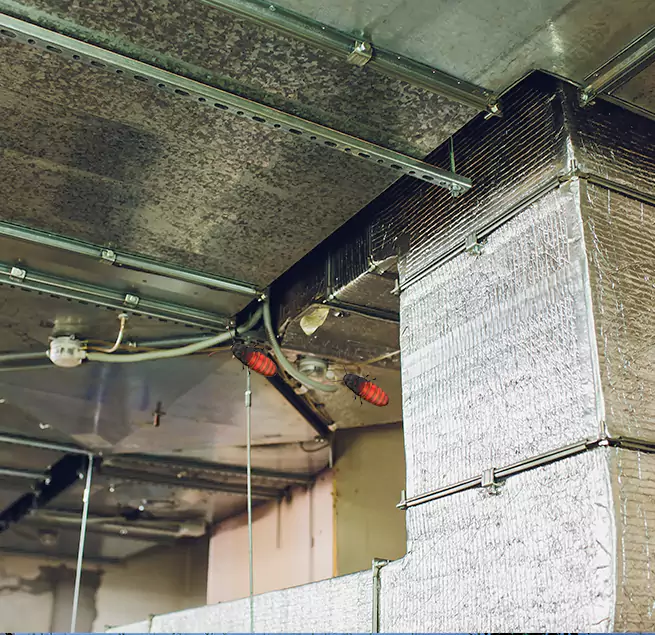 Why Homeowners & Businesses Trust Us in Kings Park, NY?