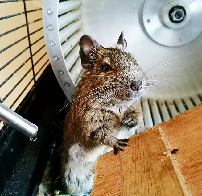 Why Homeowners & Businesses Trust Us Kings Park, NY?