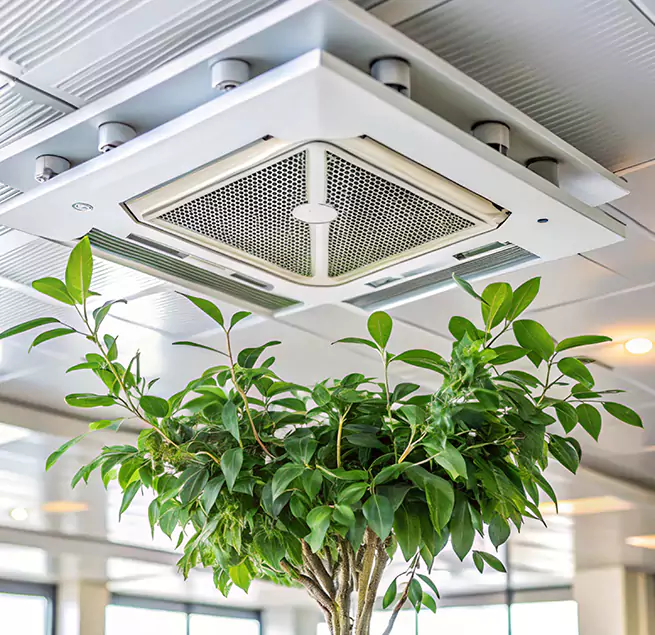 Why Homeowners & Businesses Trust Us in Kings Park, NY