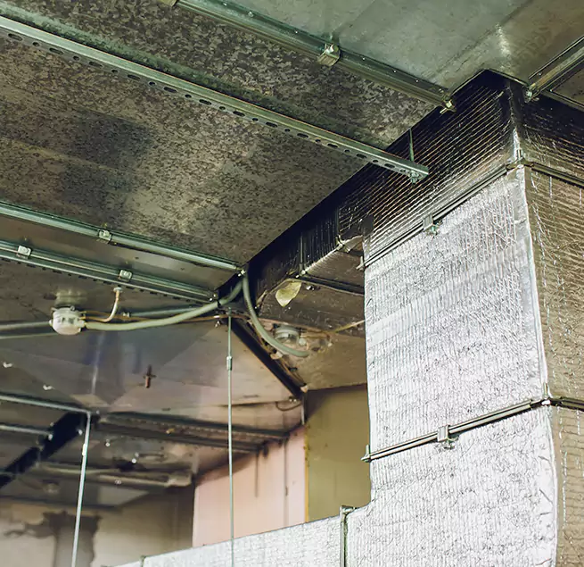 Why Homeowners & Businesses Trust Us in Kings Park, NY?